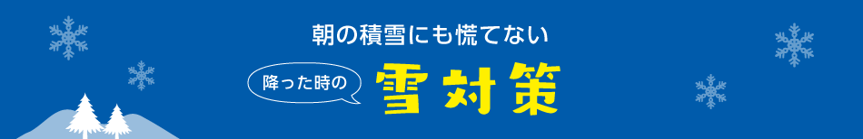 事前準備でスマートに 降った時の雪対策